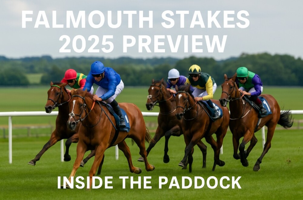 falmouth stakes preview
