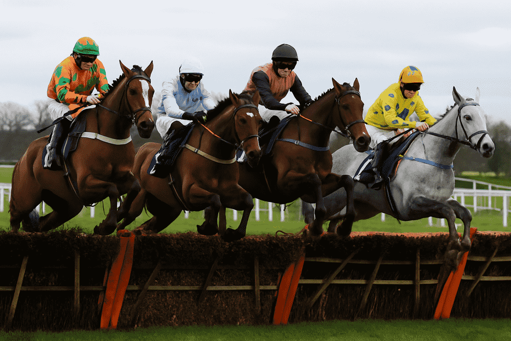 Horses to follow Nicky Henderson 2025/26 jumps season – steeplechase action