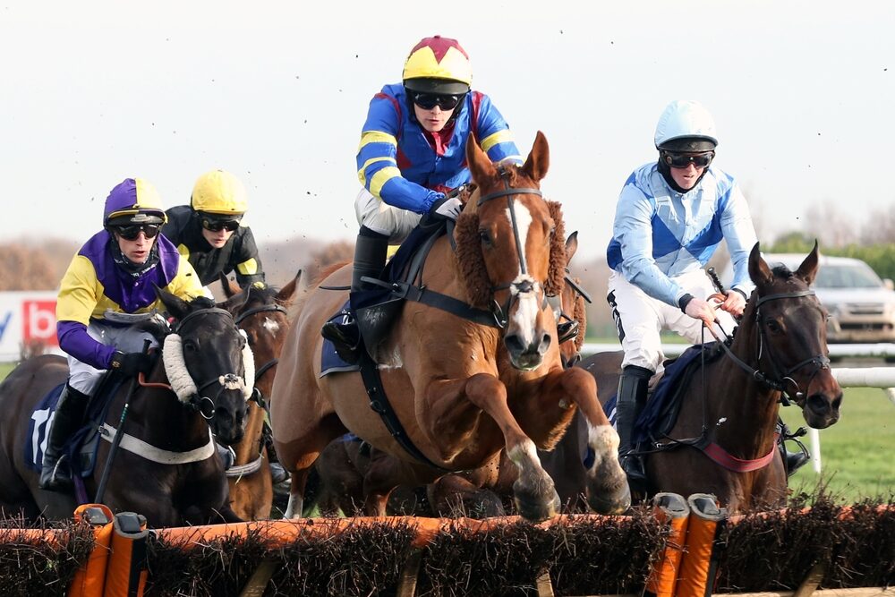 Horses jumping hurdles in a National Hunt race – 2025/26 horses to follow
