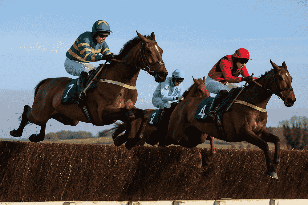 racehorses jumping a fence during a National Hunt steeplechase, representing Ben Pauling horses to follow for the 2025/26 jumps season