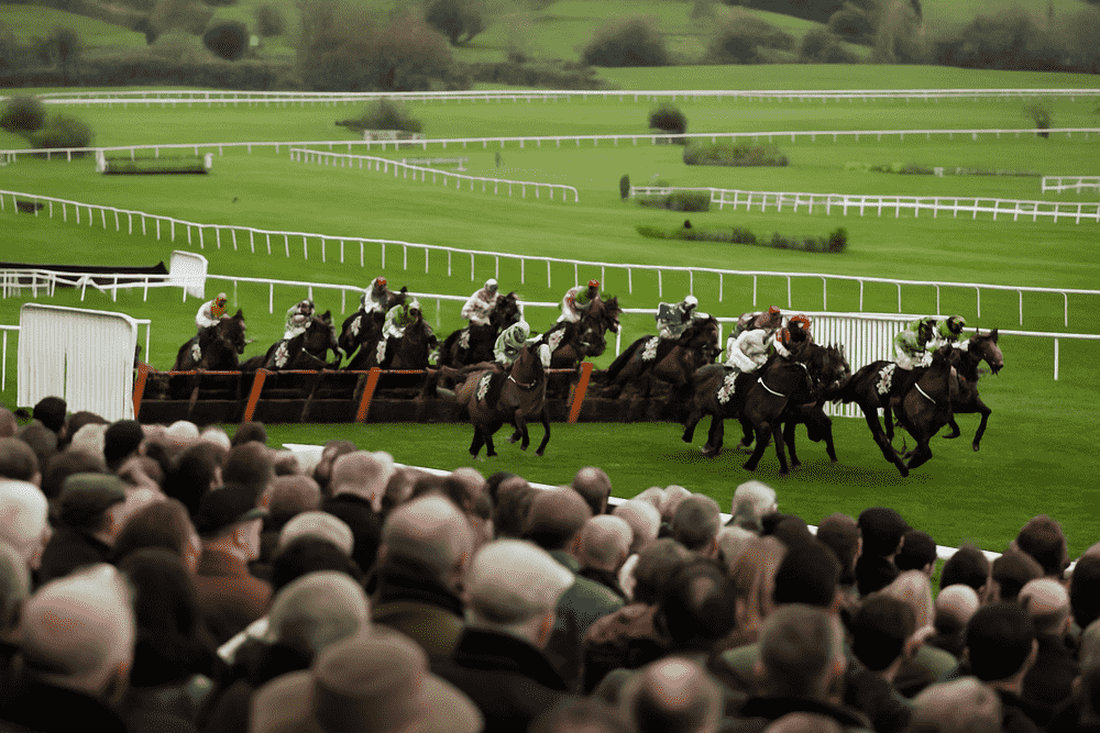 Horse racing jumps season 2025/26 viewed from the grandstand with runners mid-race