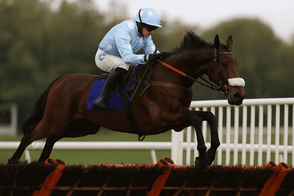 A racehorse jumping a hurdle at Cheltenham Showcase 2025, ridden by a jockey wearing light blue silks with white polka dots during a National Hunt race