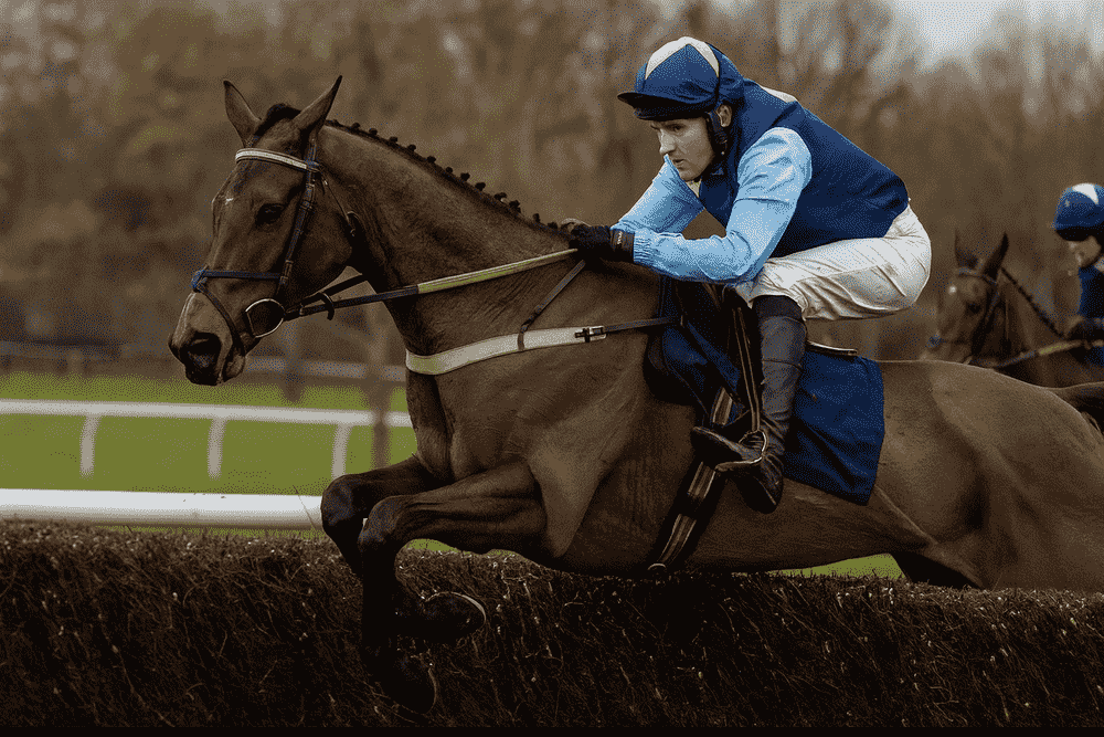racehorse about to jump a steeplechase fence with jockey wearing blue and yellow silks, representing Ben Pauling horses to follow in the 2025/26 National Hunt season
