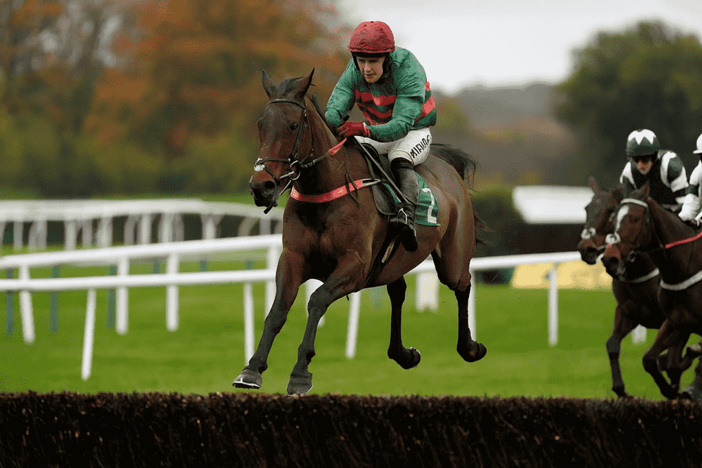 racehorse pulling clear of rivals during a steeplechase, jockey wearing orange and black checkered silks, representing Ben Pauling horses to follow for the 2025/26 National Hunt season