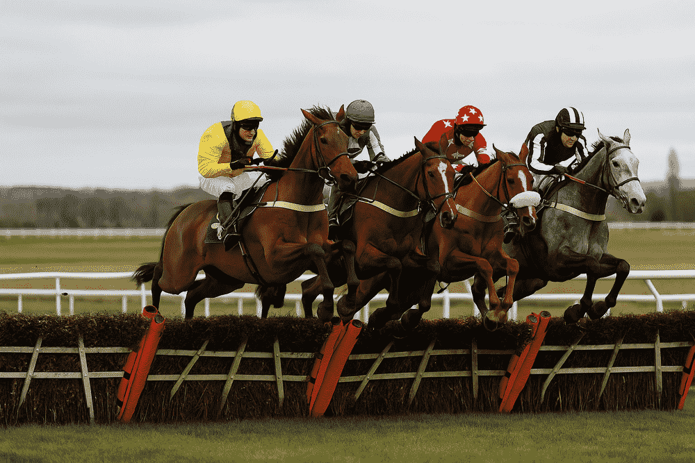 Four racehorses and jockeys jumping a hurdle in a National Hunt steeplechase, captured mid-air on a grassy racecourse.