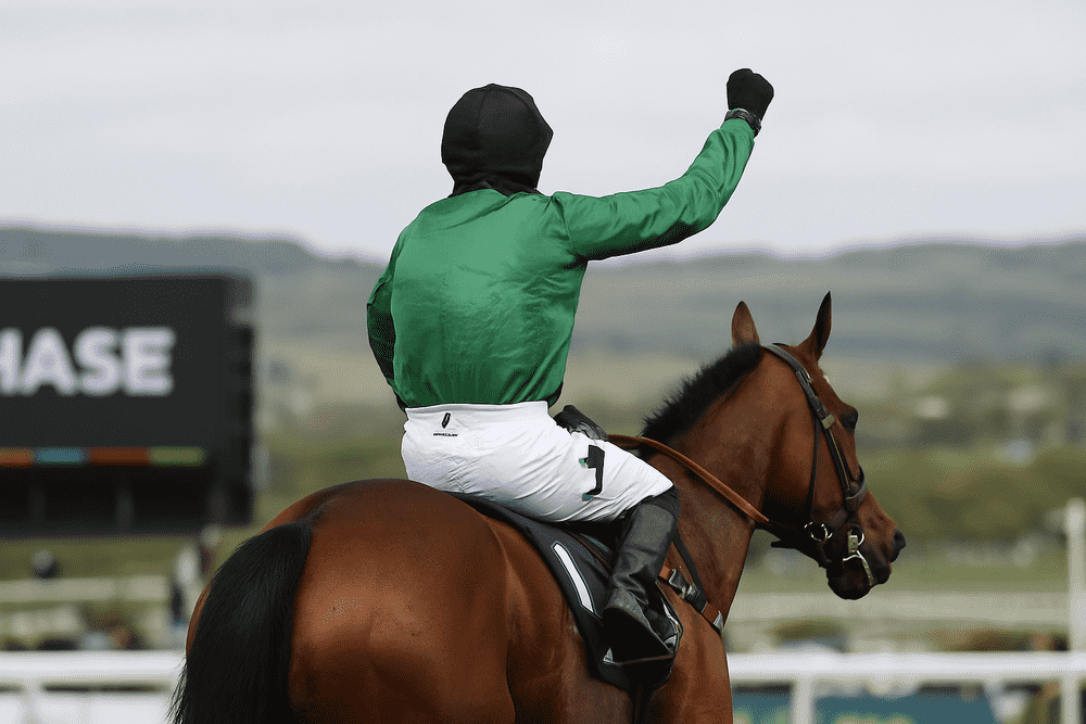 Jockey raising his fist in triumph on horseback after winning a steeplechase race