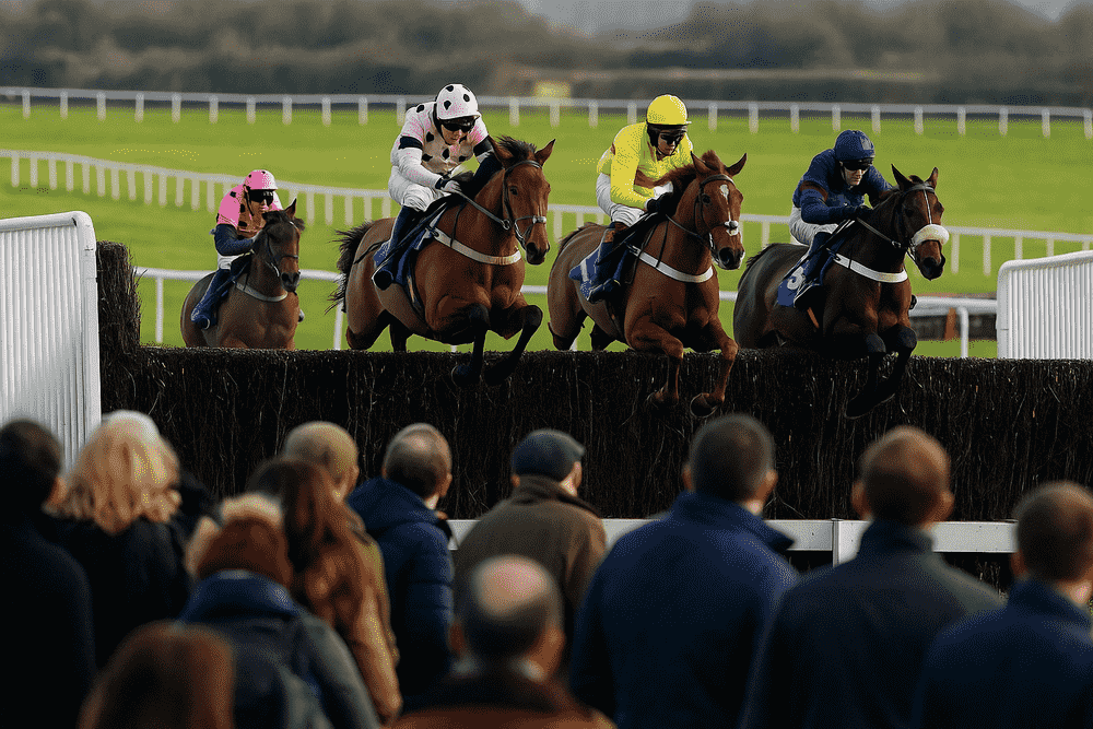 Oll Murphy Racing Olly Murphy Horses To Follow 2025/26 | Inside The Paddock Guide