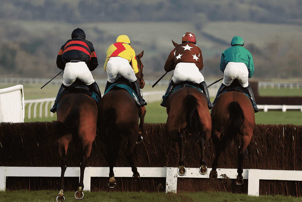 Oll Murphy Racing Olly Murphy Horses To Follow 2025/26 | Inside The Paddock Guide