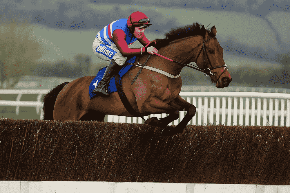 Jockey in pink and blue silks riding a bay horse mid-jump during a National Hunt steeplechase, representing Olly Murphy horses to follow 2025/26