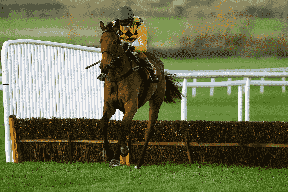 Bay racehorse with jockey in purple and yellow silks approaching a hurdle during a National Hunt race, representing Olly Murphy horses to follow 2025/26