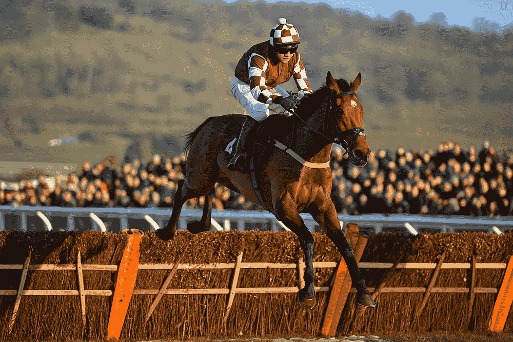 A racehorse approaching a fence from a grandstand viewpoint during a winter National Hunt race, showing December jumping conditions