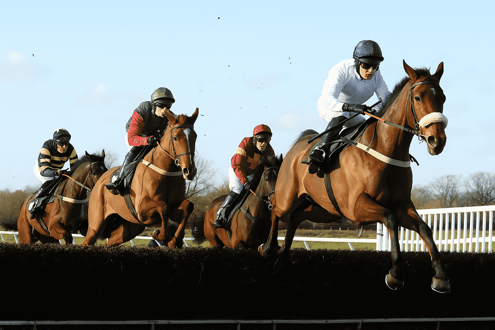 Four racehorses jumping a fence in a steeplechase, illustrating the pace and style typical of King George VI Chase contenders