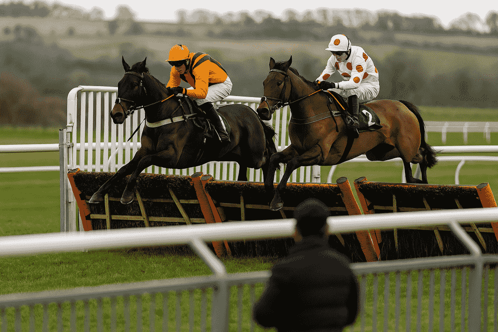 Two horses approaching a hurdle during a National Hunt race, viewed from the stands, typical of the races analysed in the Venetia Williams trainer stats