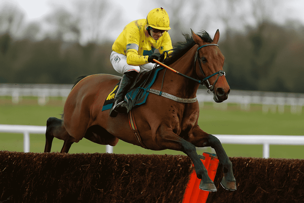 Racehorse and jockey jumping a steeplechase fence at full speed, illustrating the athleticism typical of King George VI Chase contenders