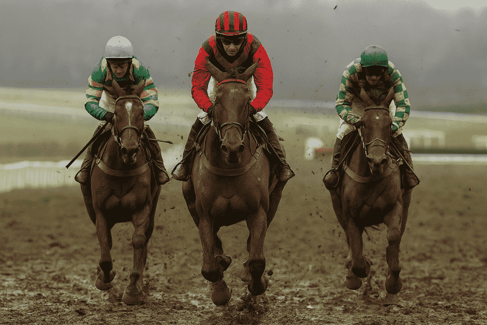 Three racehorses running on very soft, muddy ground during a winter National Hunt race, ideal imagery for Venetia Williams’ soft-ground specialists