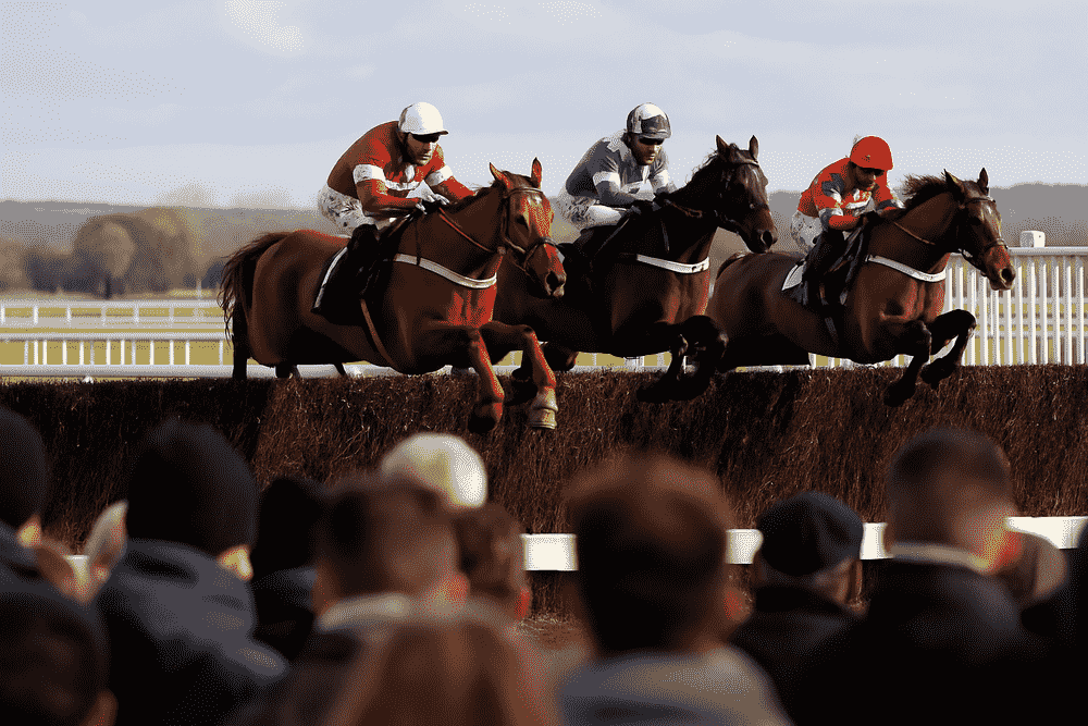 Three racehorses and jockeys jumping a steeplechase fence viewed from the grandstand, capturing the intensity and style typical of King George VI Chase contenders