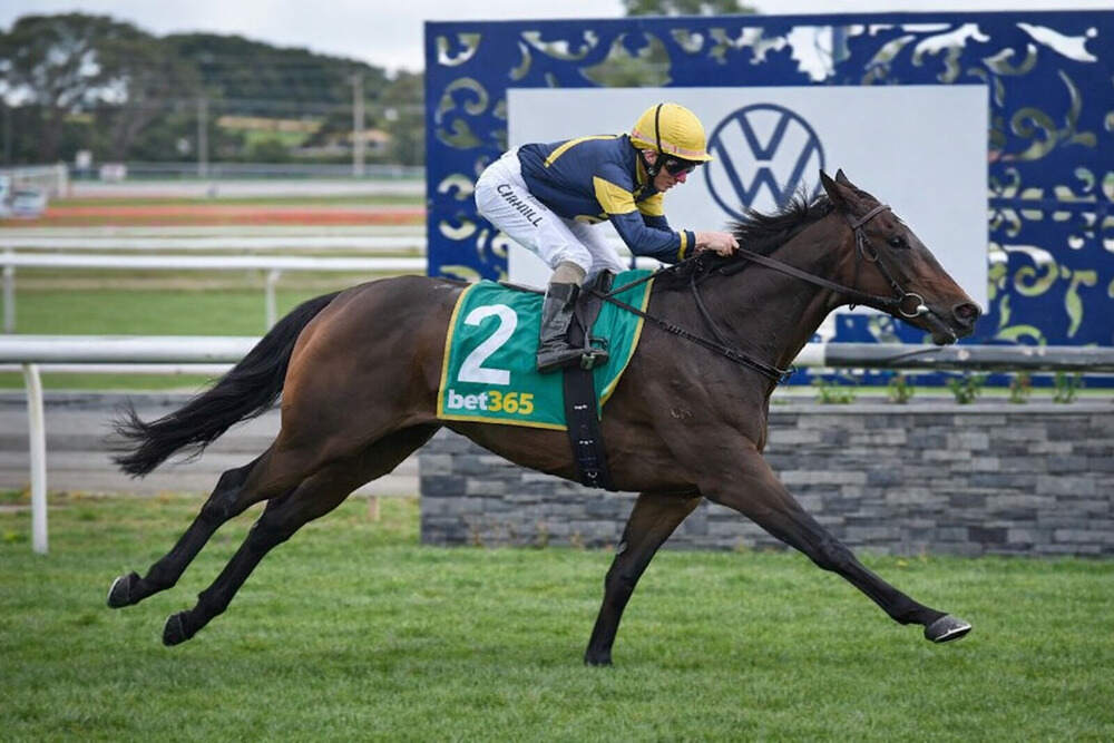 Charlie Appleby Horses To Follow 2026: 10 Flat Season Picks