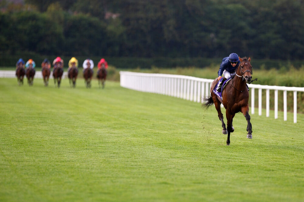 Montreal leading the field for Aidan O’Brien during his two-year-old season