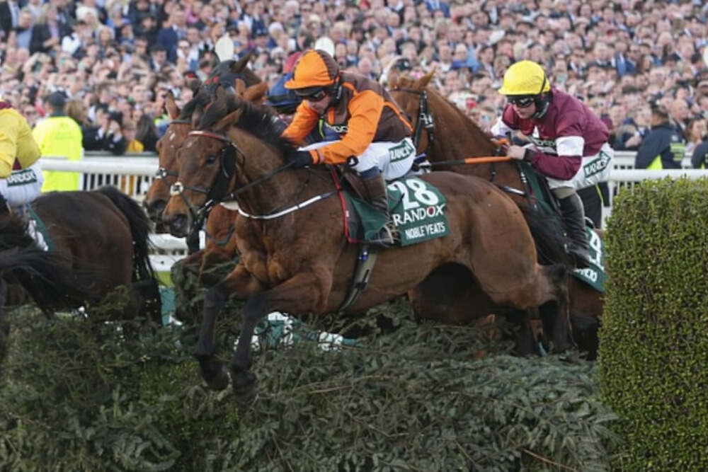 Noble Yeats jumps a fence during the Grand National at Aintree with rivals close behind