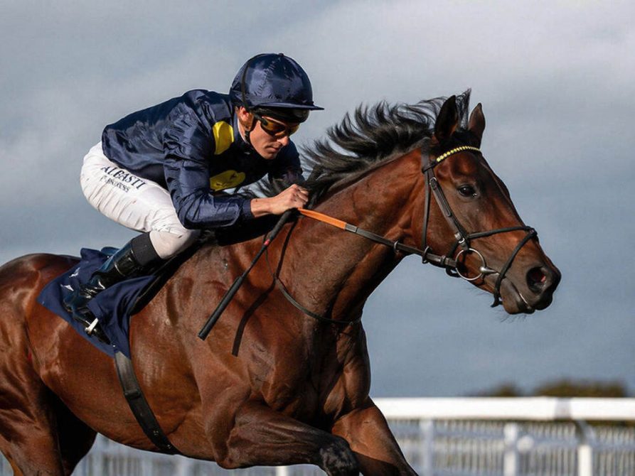 Eternal Force in action on the gallops ahead of the 2026 Flat season in a William Haggas horses to follow 2026 article