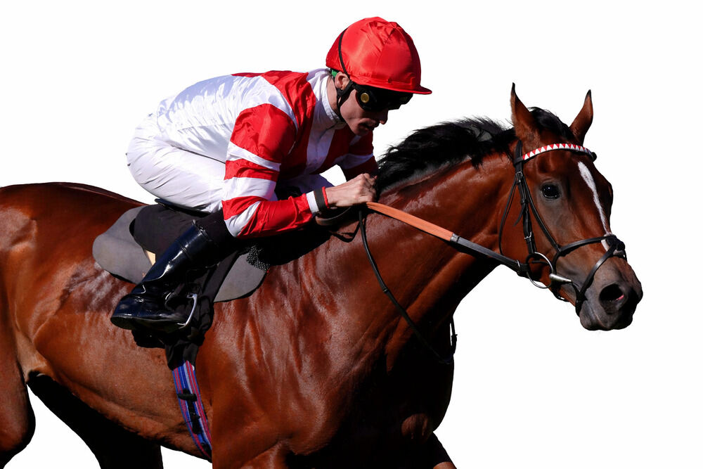 Maltese Cross in action ahead of the 2026 Flat season in a William Haggas horses to follow 2026 article