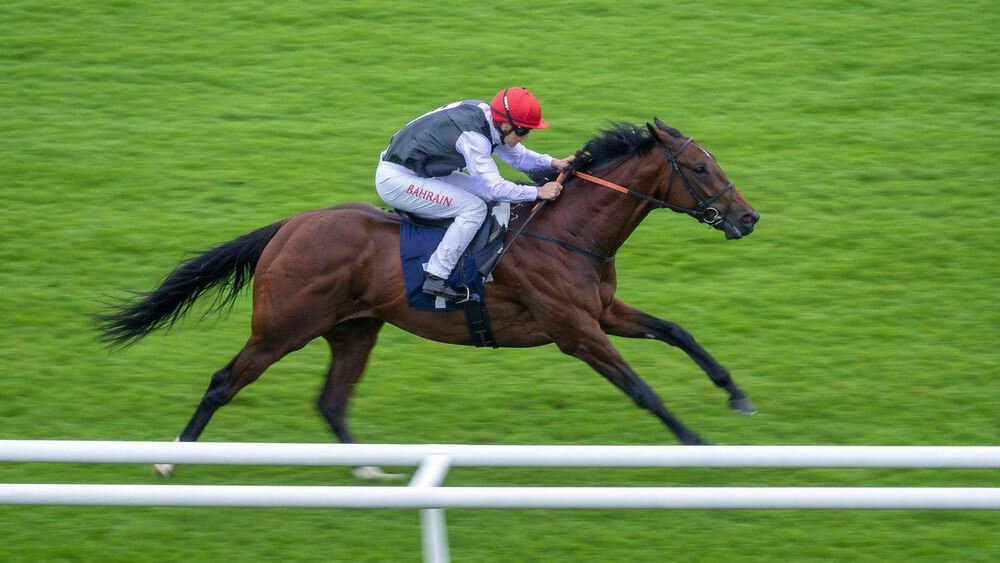 Masked Warrior racing on turf ahead of the 2026 Flat season in a William Haggas horses to follow 2026 article