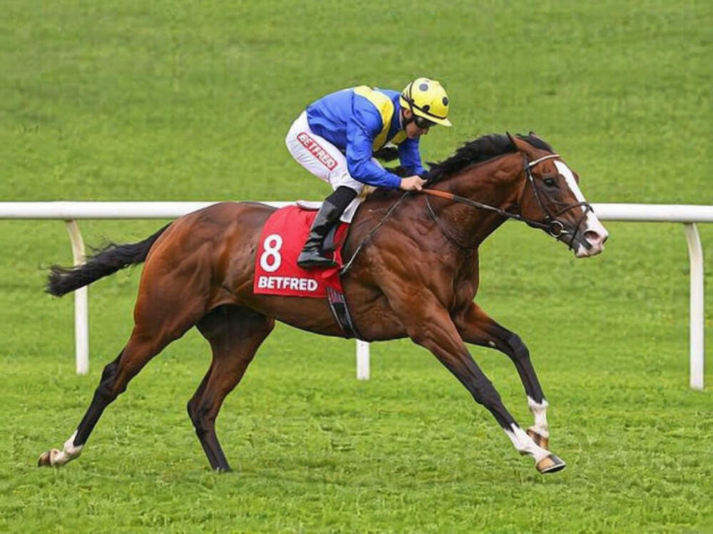 More Thunder in action on the turf ahead of the 2026 Flat season in a William Haggas horses to follow 2026 article