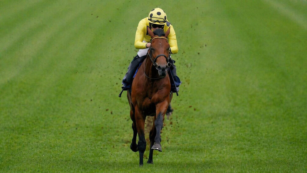 Morshdi racing on turf ahead of the 2026 Flat season in a William Haggas horses to follow 2026 article