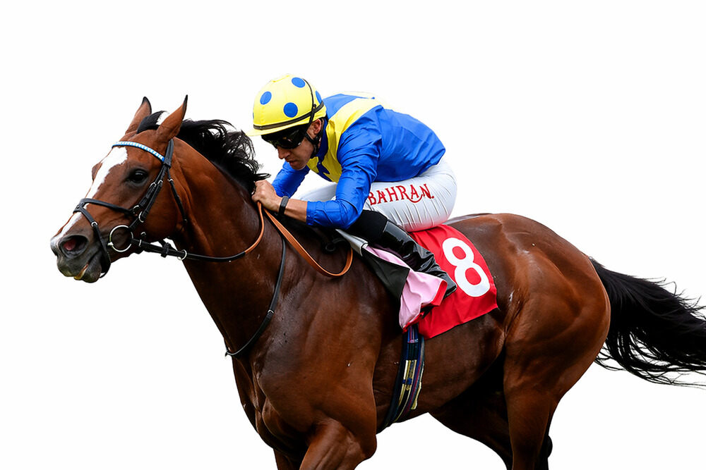 My Ophelia racing on turf ahead of the 2026 Flat season in a William Haggas horses to follow 2026 article