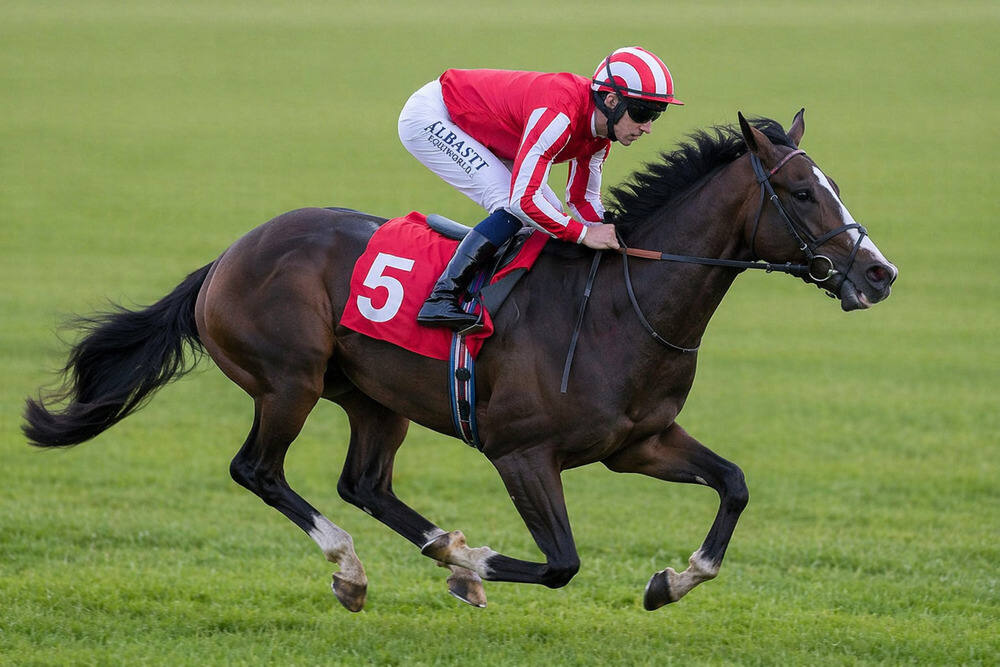 Saber Strike racing on turf ahead of the 2026 Flat season in a William Haggas horses to follow 2026 article