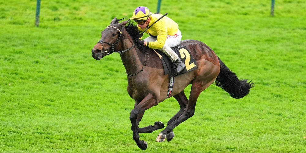 Sea Force racing on turf ahead of the 2026 Flat season in a William Haggas horses to follow 2026 article