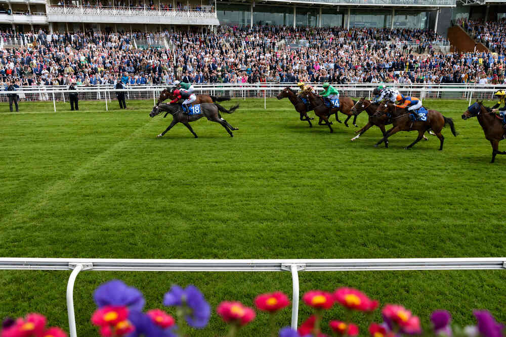Horse race at York Racecourse with Ebor Handicap 2026 contenders galloping in front of a packed grandstand during a competitive flat race.
