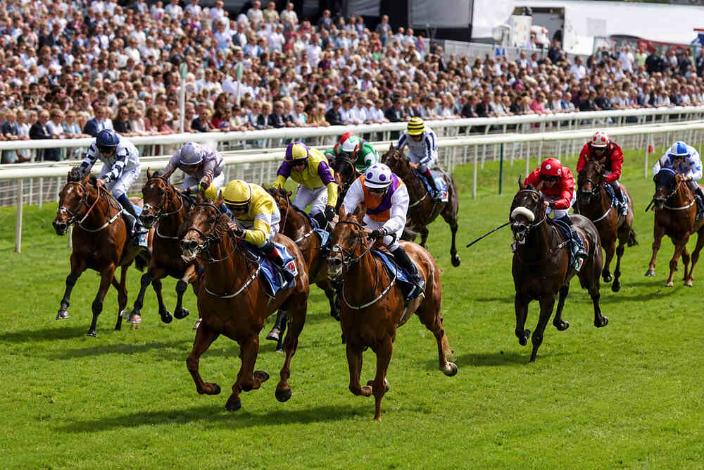 Field of horses and jockeys racing on the turf at York Racecourse during a competitive flat race linked to the Ebor Handicap 2026.