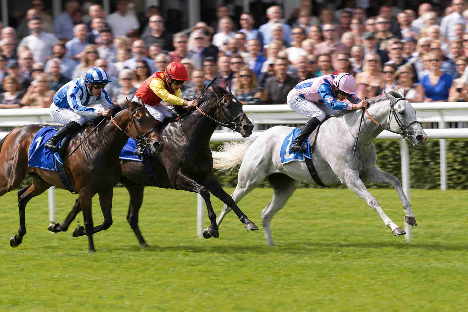 Realistic horse racing image showing Ebor Handicap 2026 contenders in action at York Racecourse during a competitive flat race, illustrating the speed, atmosphere and big-field challenge associated with the Ebor Festival.