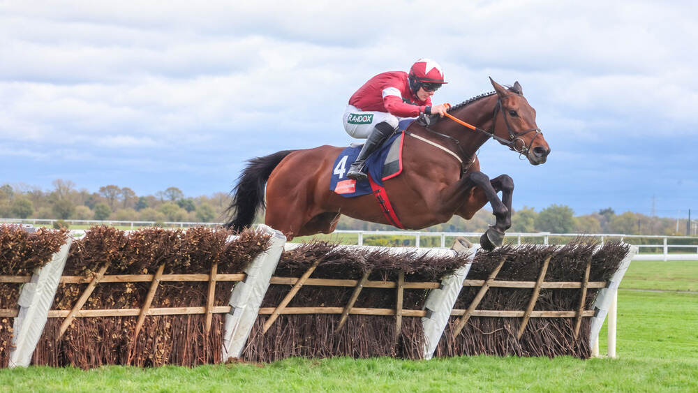 Brighterdaysahead, wearing number four, jumping a hurdle during a National Hunt race.