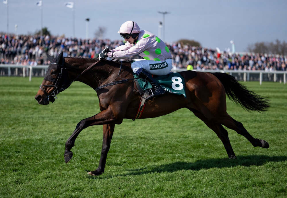 Gaelic Warrior, wearing number eight, galloping on the turf in front of the Aintree crowd.