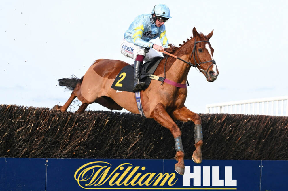 Jeu D’Opale, trained by Venetia Williams, wearing number 2 while jumping a fence in a National Hunt race.