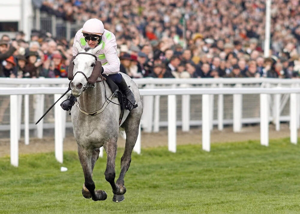 Grey mare Lossiemouth racing clear on the turf in front of a packed grandstand.