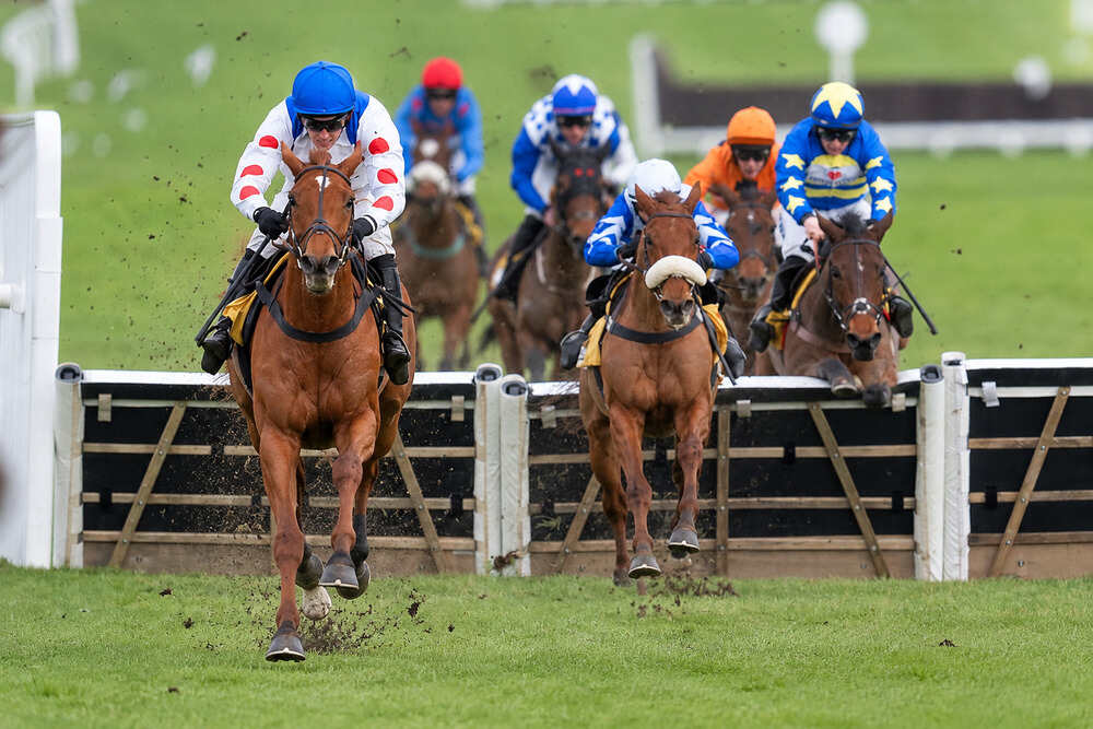 Maestro Conti, ridden by a jockey in a blue helmet and white silks with red sleeves, leading a field of hurdlers.
