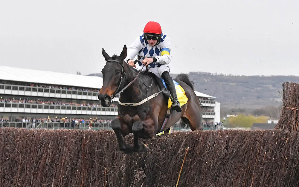 A racehorse and jockey clear a fence at Cheltenham Racecourse. The image accompanies our National Hunt 2026/2027 calendar featuring the key jump racing fixtures across the UK and Ireland.