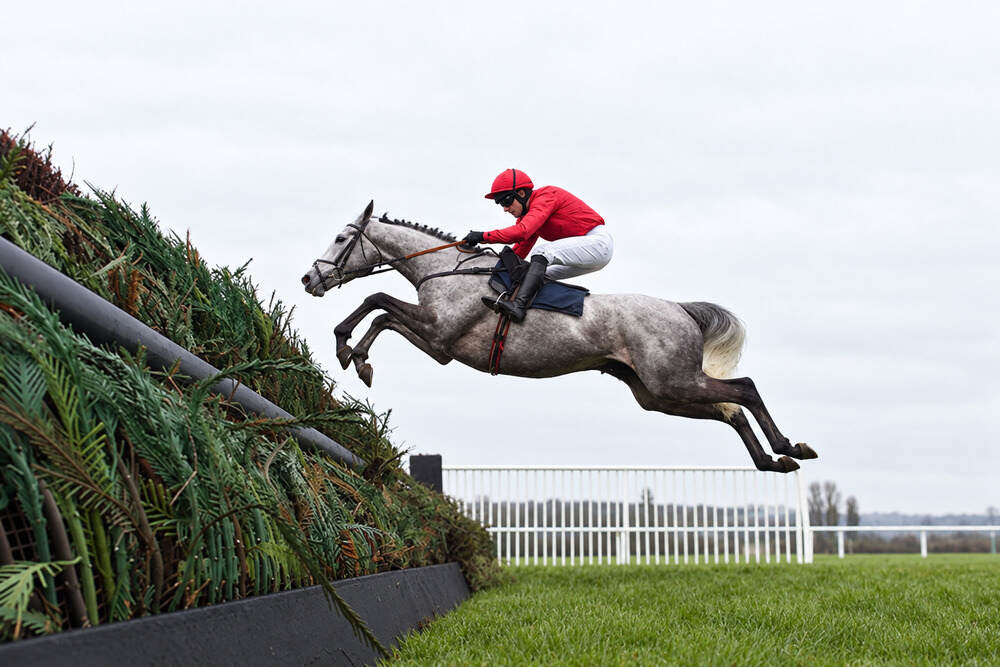 Grey National Hunt racehorse clearing a black fence with a jockey wearing red silks.