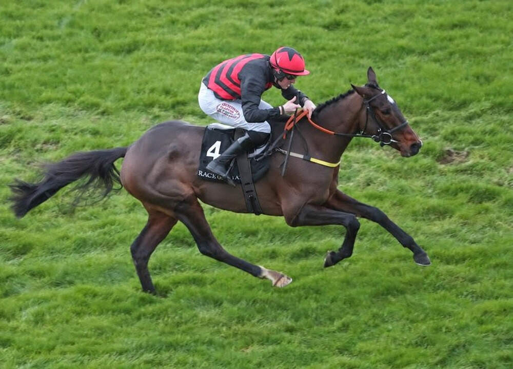 The Mourne Rambler, wearing number four, galloping on the turf with his jockey in red and black silks.