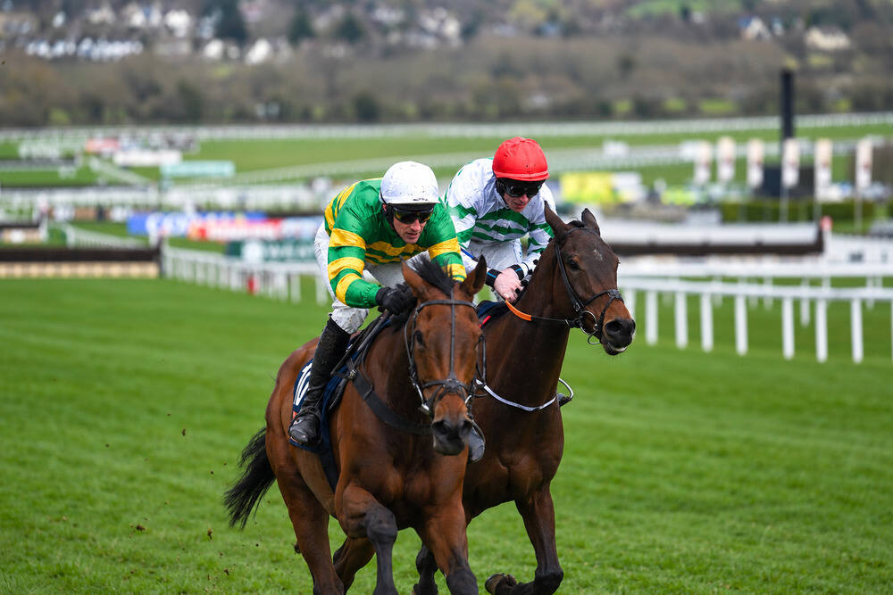 The New Lion, ridden by a jockey in a white helmet and green-and-yellow silks, racing alongside a rival.