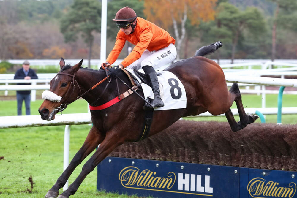 Zertakt, trained by Venetia Williams, wearing number 8 while jumping a fence during a National Hunt race